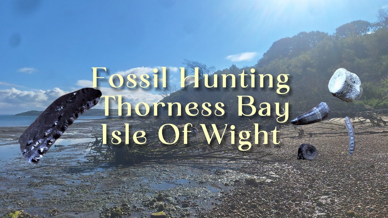 Fossil Hunting, Thorness Bay, Isle of Wight