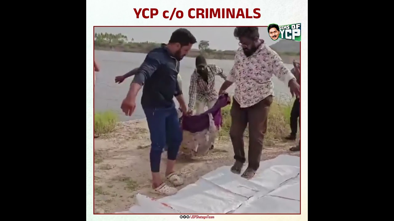 YCP normalised criminals in politics! | YCP c/o criminals | #YSRCriminalParty