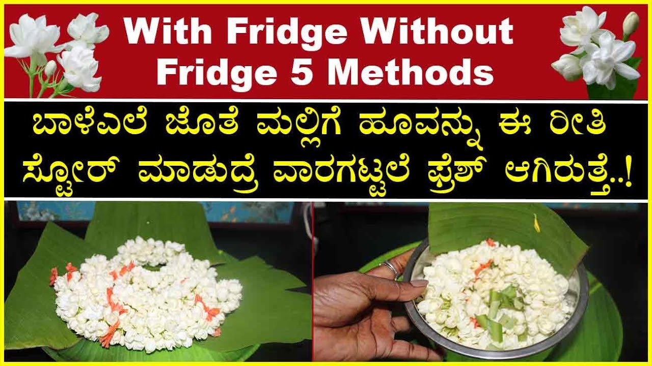 how to keep jasmine flowers fresh in fridge| ಮಲ್ಲಿಗೆ ಹೂವನ್ನು ವಾರಗಳ ಗಟ್ಟಲೆ ಫ್ರೆಶ್ ಆಗಿರಲೂ ಹೀಗೆ ಮಾಡಿ
