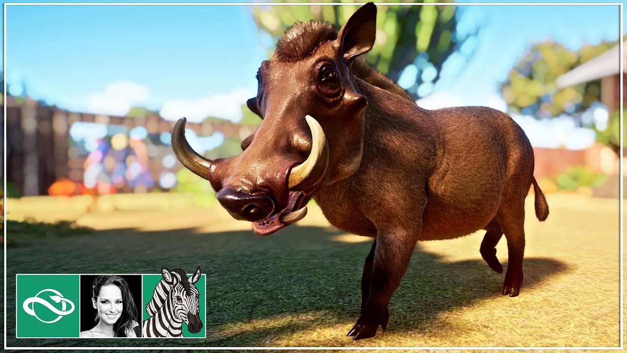🦓 Warthogs Habitat | Let's play Planet Zoo Franchise Mode | BETA | #4