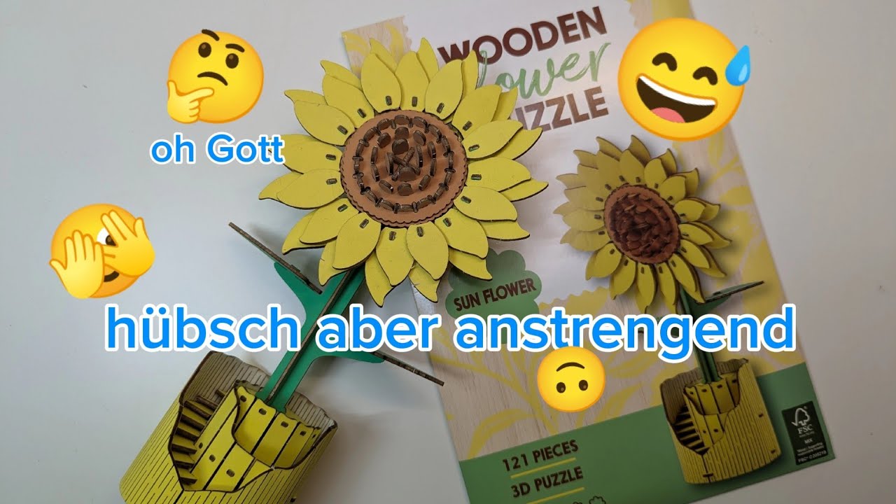 Vorletzte Blume totales Chaos, wie viel will eigentlich schief gehen? Die Sonnenblume nur 