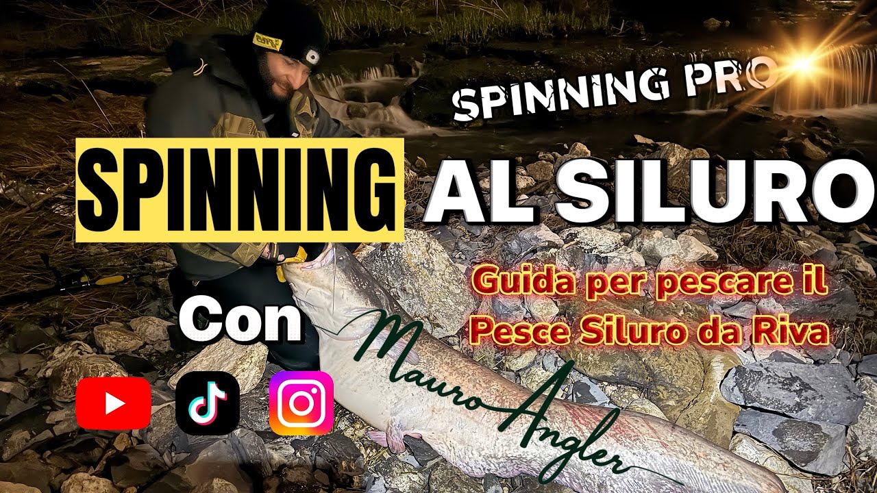 Conoscere il Siluro: Guida alla pesca a Spinning da Riva #pesca #siluro #blackcat #fyp