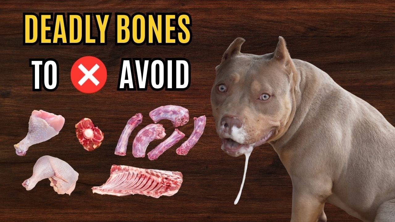 DANGEROUS BONES!!! (Raw Bone Safety!)