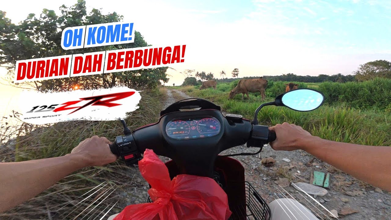 Yamaha 125ZR | Durian & Sunset