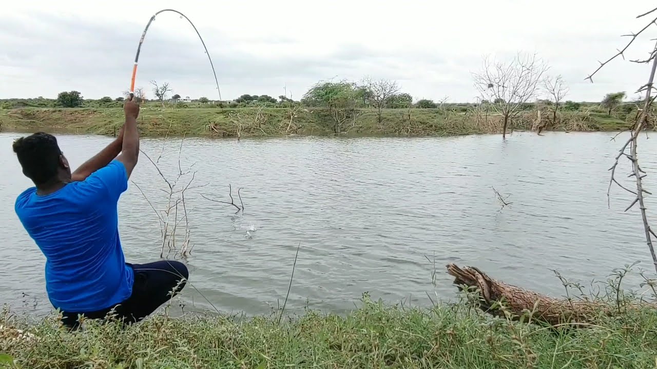 Fishing video 🎣 | if you can catch a fish with proper Food bait , Fish will Raise in River