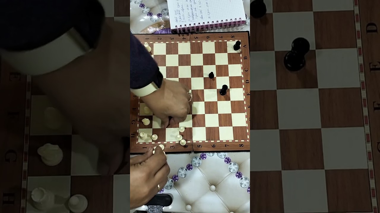 Şahmat idman oyunu haqqında video izah