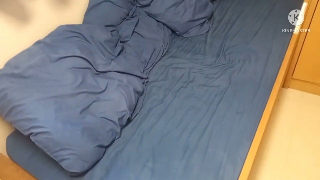 Cabin Room Tour In General Cargo Ship