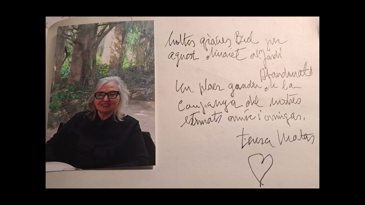 Dinarets amb personatge 05, Teresa Matas, artista visual