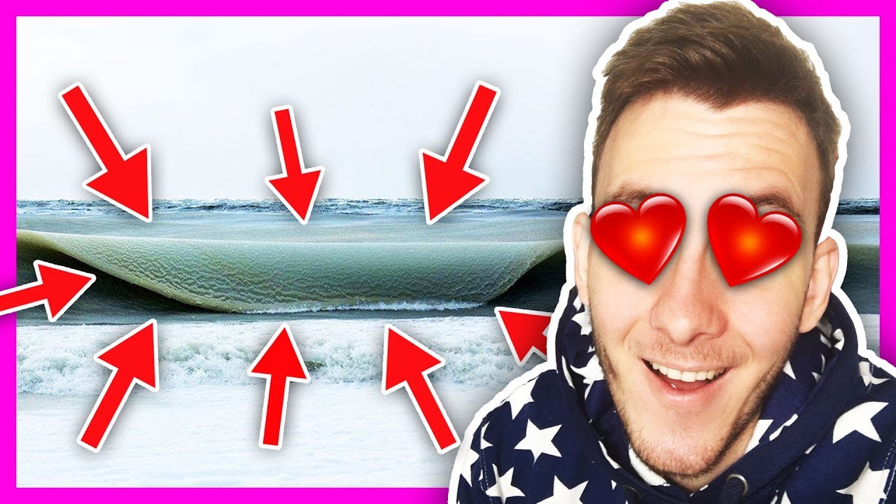 TOHLE BUDETE MILOVAT! | HouseBox