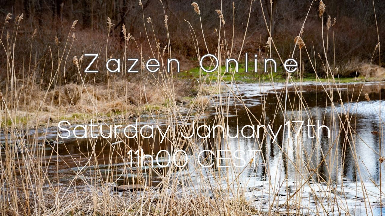 Zazen Online January 17th 2026 11h00 (CEST) / 10h00 (BST)