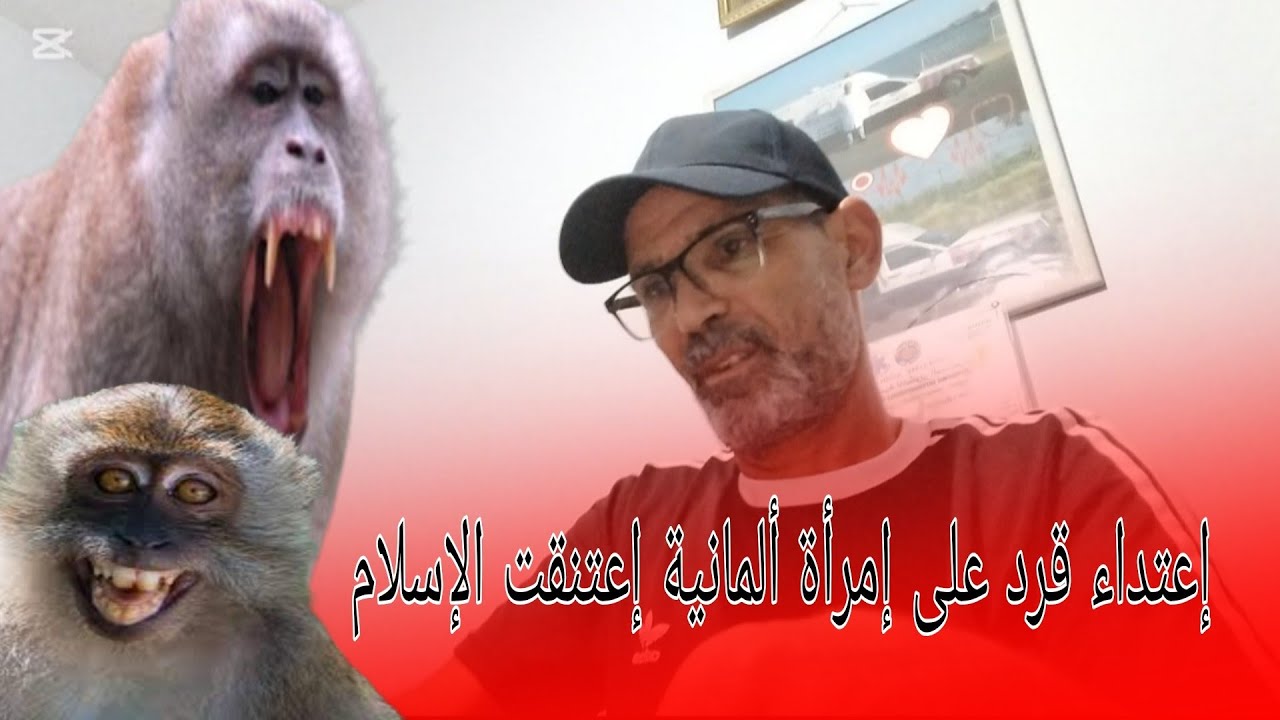 إعتداء قرد على إمرأة في غابة كوروكو بعدما كذب عليها احد الأشخاص بأنه 💂‍♂️حارس الغابة فاطمأنت 