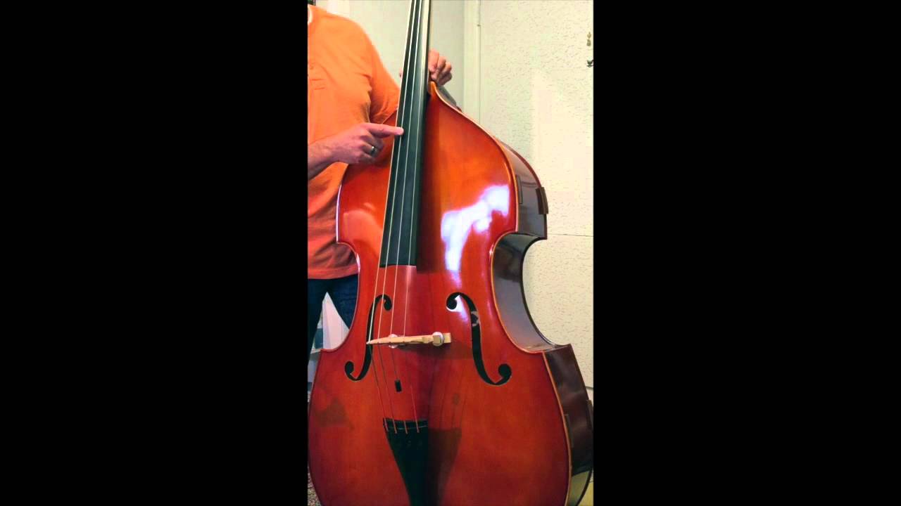 Eastman Upright Bass Review