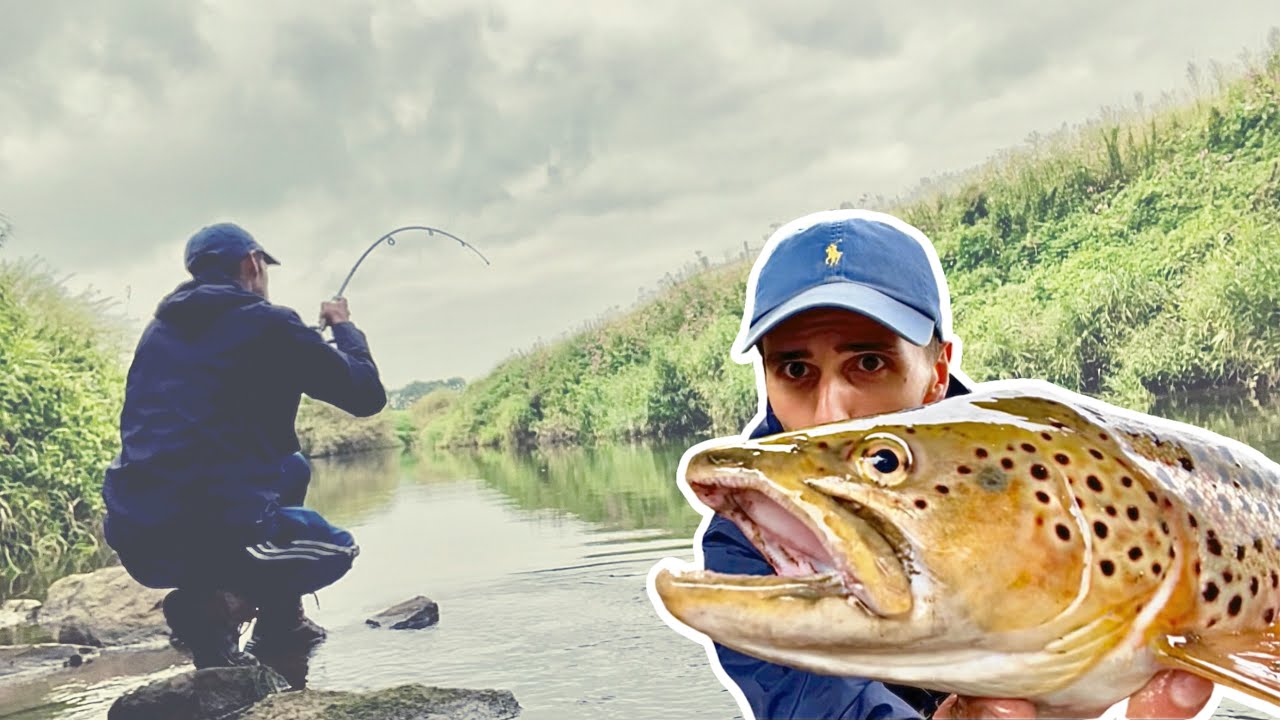 BIG BROWN TROUT SMASHES SALMO MINNOW ON THE RIVER AIRE (4K)