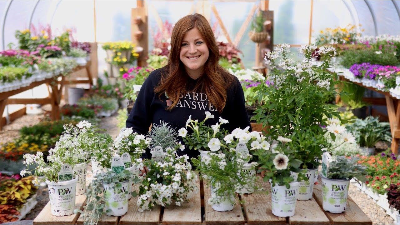 🌙 Proven Winners® Moon Garden Container | White & Silver Annuals for Evening Glow