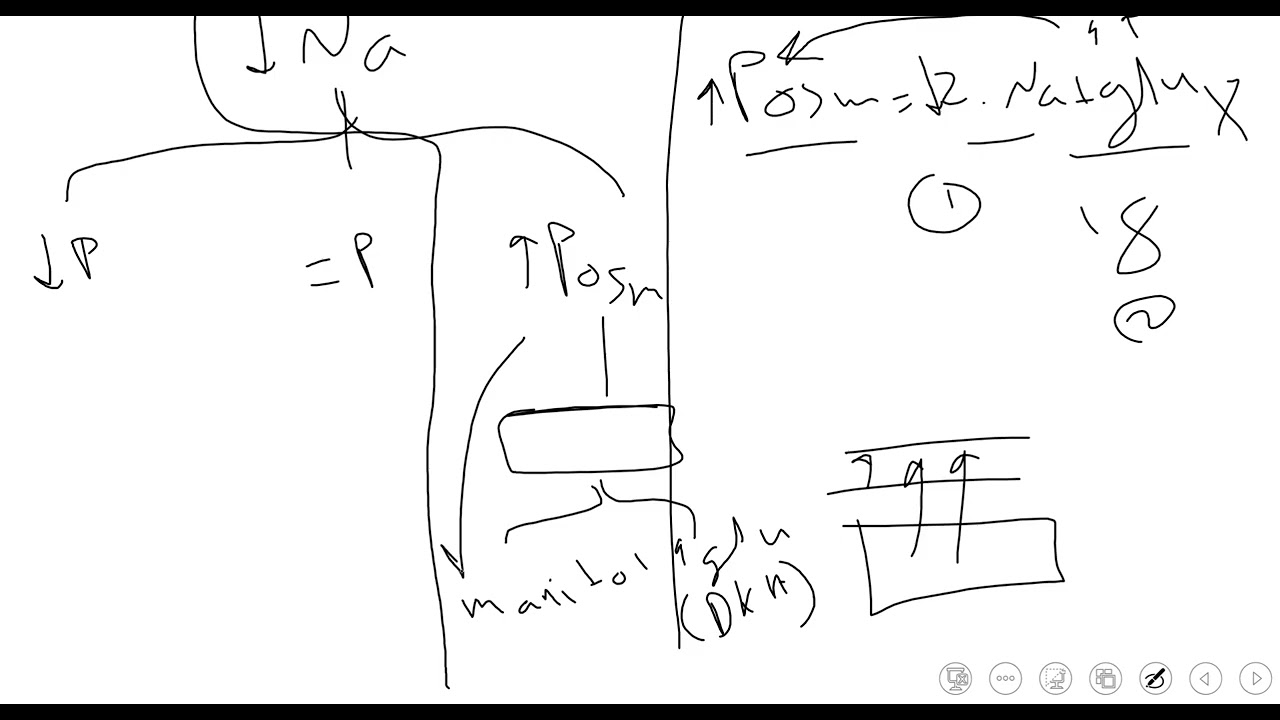 Nephrology - AlphaVids || .1 اضطرابات الصوديوم