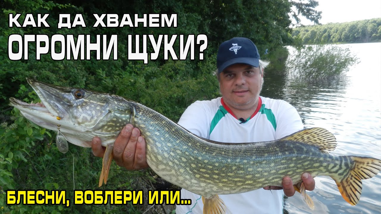 Как да хванем ОГРОМНИ ЩУКИ? Блесна, воблер, спинер или жива рибка?