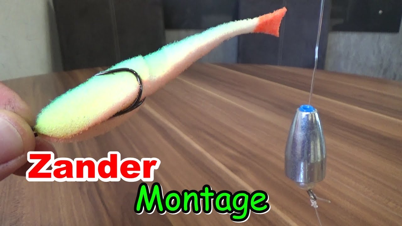 Montage für zickige Zander . So wirds gemacht  #angeln
