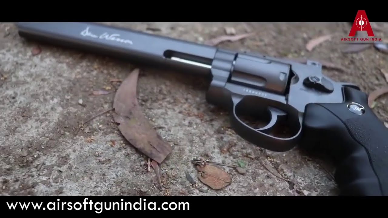 Dan Wesson 8 inch CO2 BB Revolver shooting test
