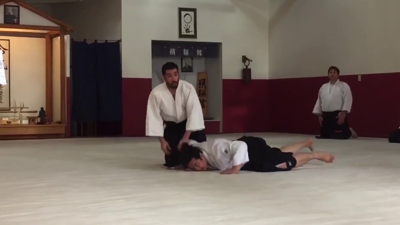 Birankai Aikido & Iaido: Flynn Sensei 2019