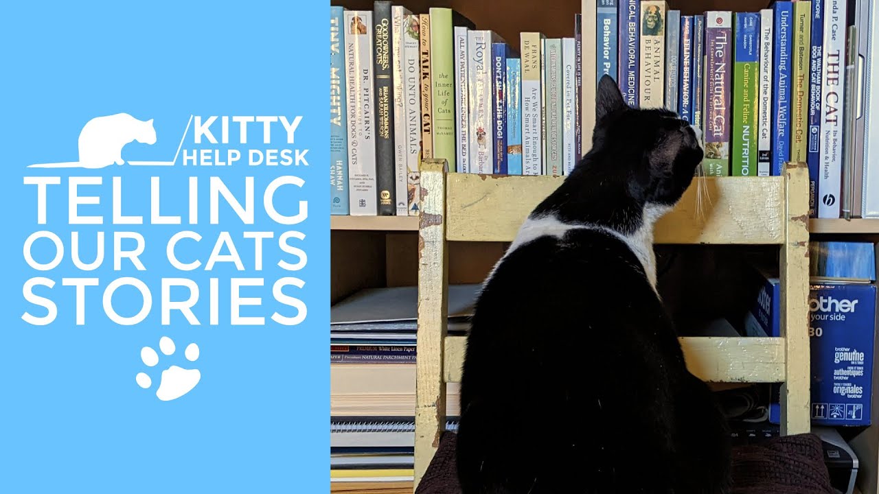 Telling Our Cats Stories