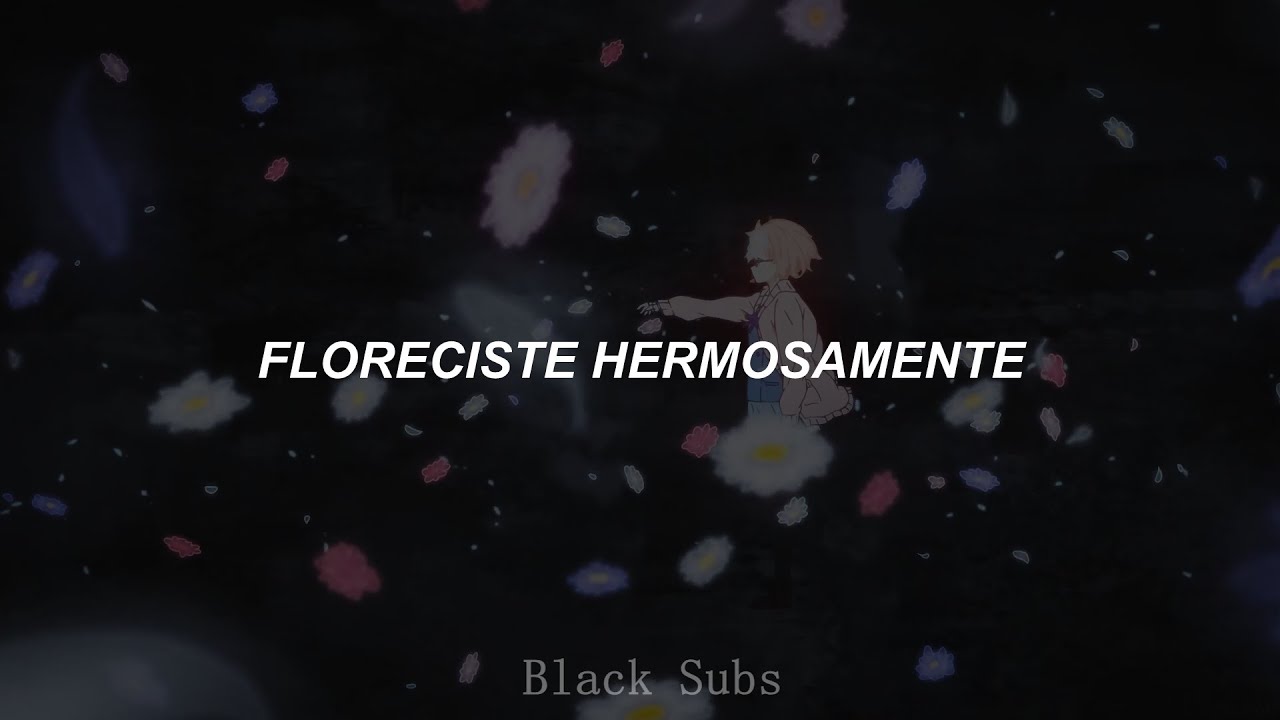 Daisy- Stereo Dive Foundation (Sub Espñaol)