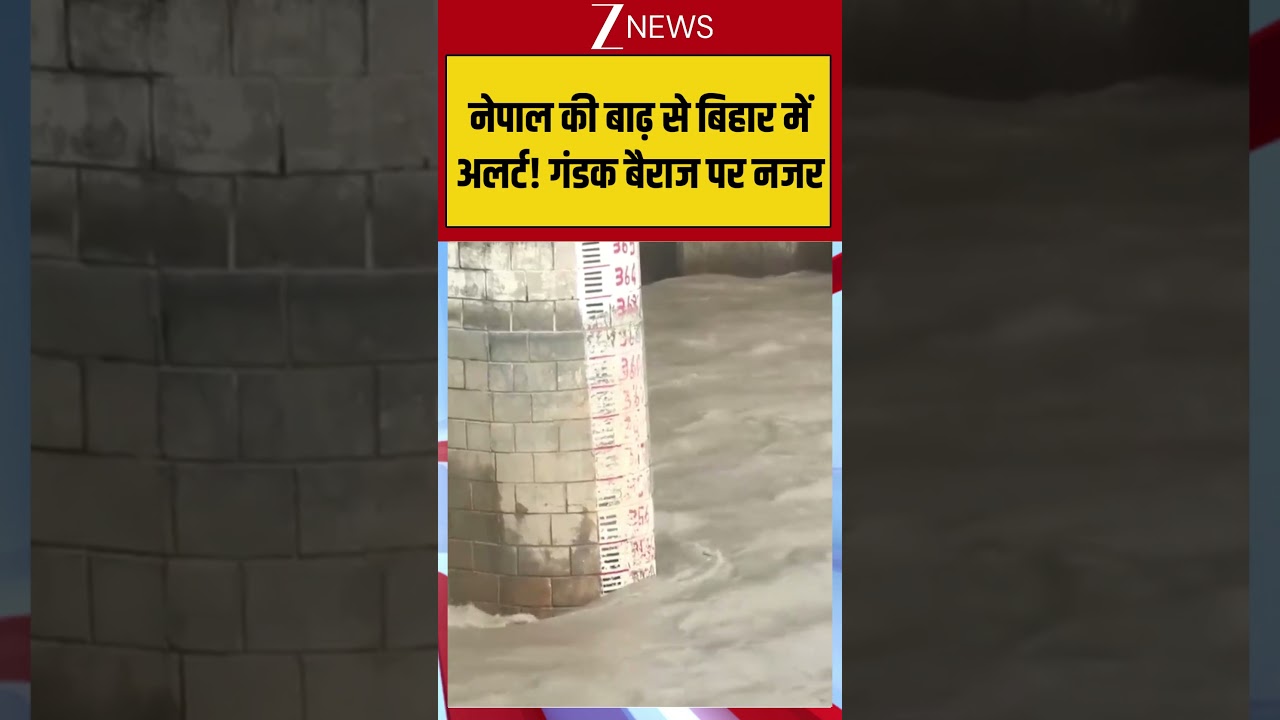 Bihar Flood Alert : #nepal की बाढ़ से बिहार में अलर्ट! गंडक बैराज पर नजर | #viral #bihar #floodalert