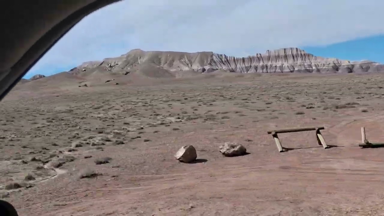 Petrified Nat. Forest continued...
