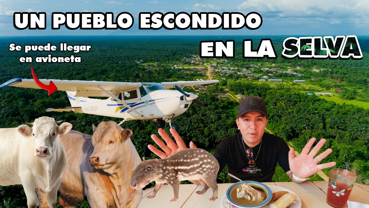 GANADO 🐄 Y YUCAS GIGANTES, EN EL PARAÍSO  AMAZONICO, Taisha 🇪🇨 I GEO LEMA