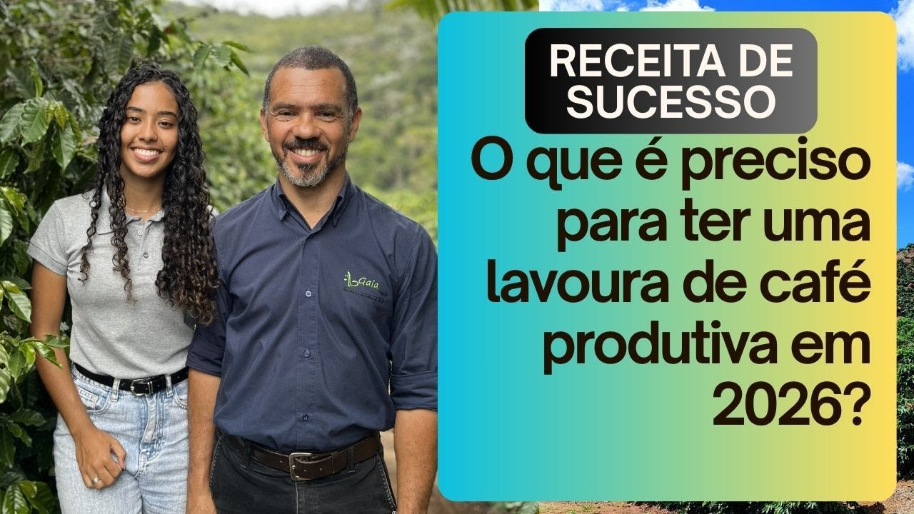 Para se ter sucesso em 2026 com o café, siga esses passos