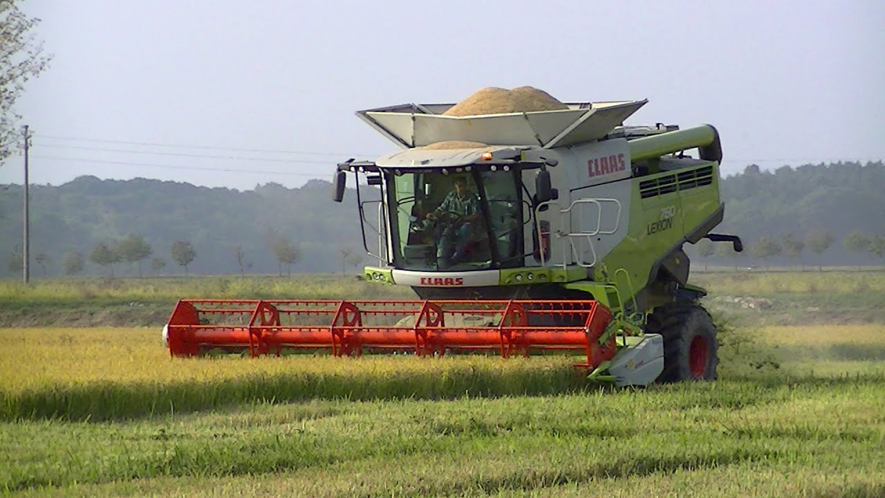 CLAAS Lexion 760 Terra Track R660 RICE HARVEST 2014 in ITALY