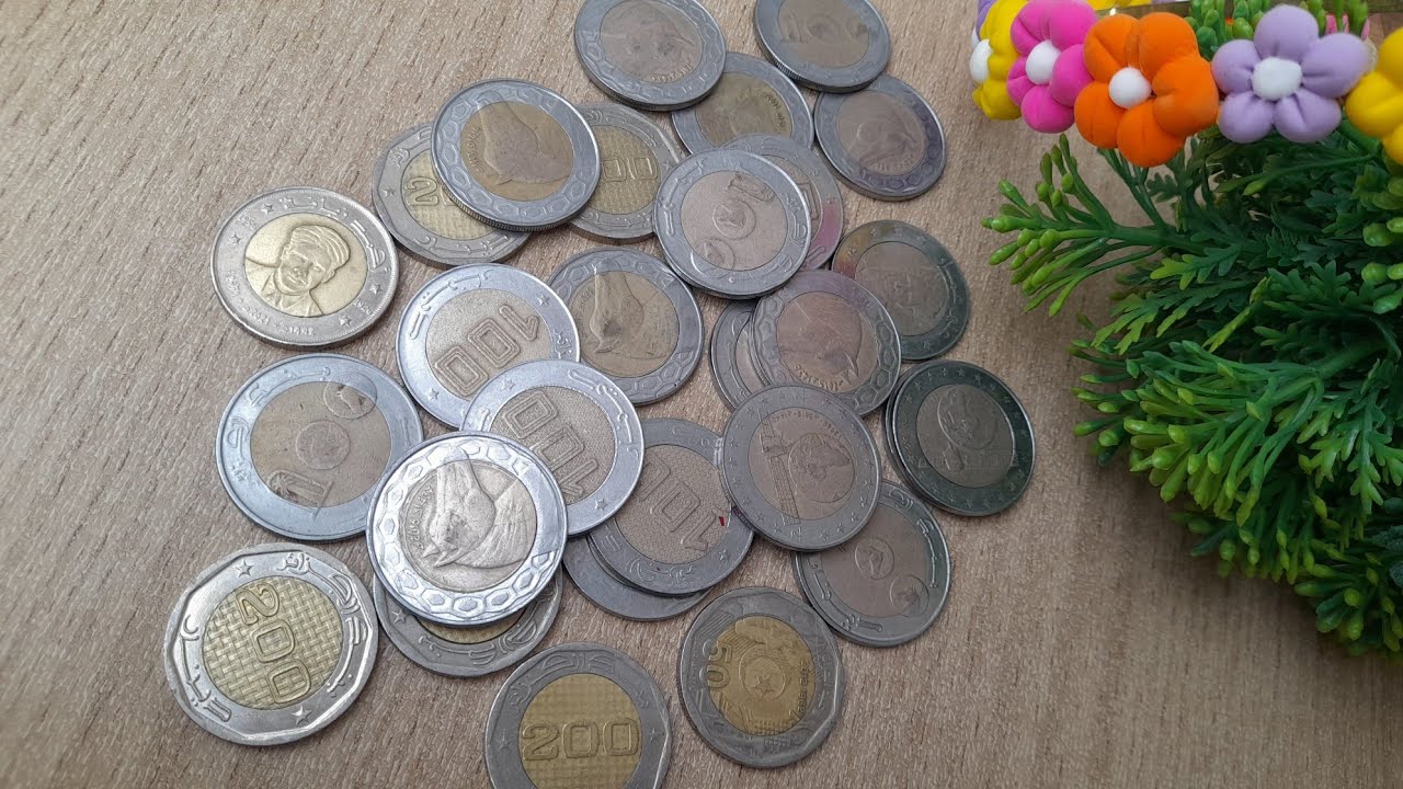 هذا هوا المبلغ  أو أكثر 🤑لي غادي تتحصلي  عليه🤩 كي تخدمي هذا المشروع✅️ حصري على قناتي قنبلة الموسم 💯💯