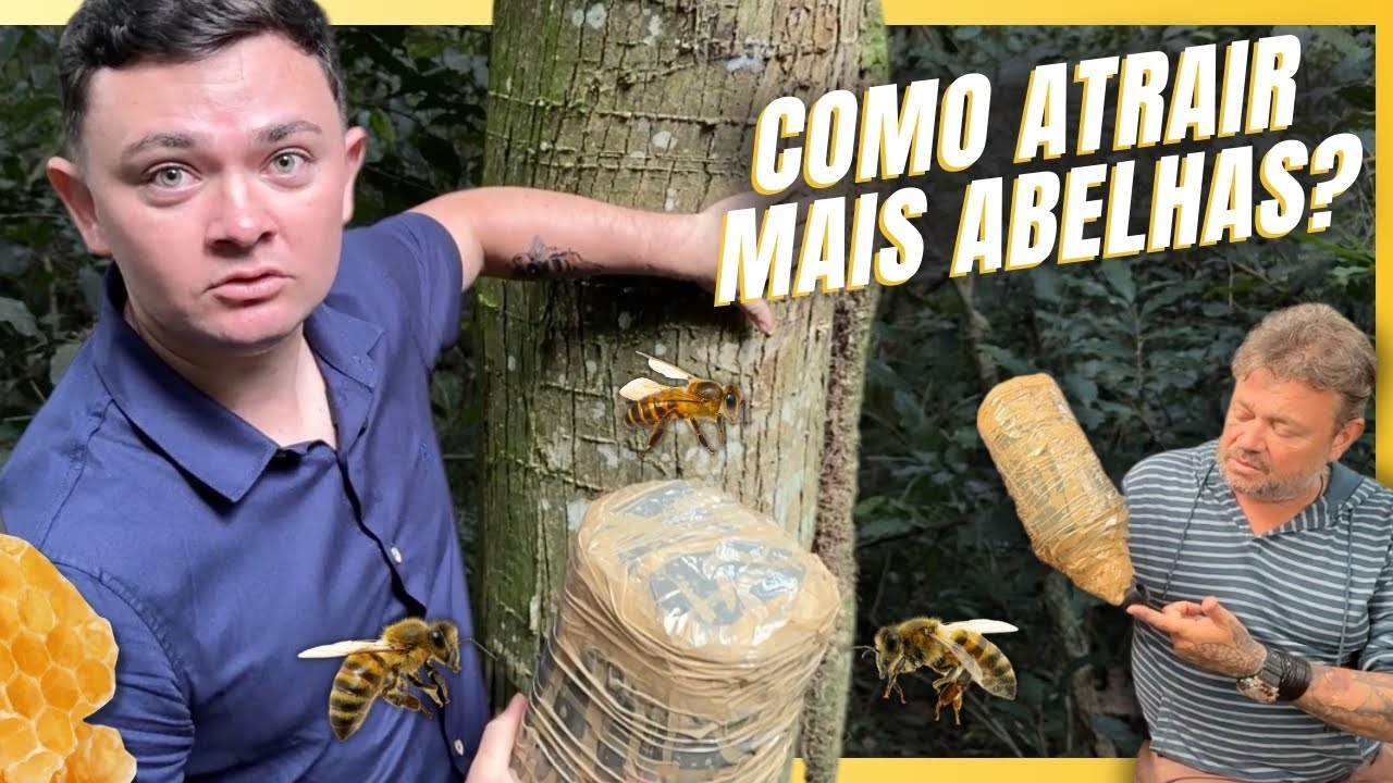 COMO CAPTURAR ABELHAS SEM FERRÃO USANDO GARRAFA PET! 🐝🔧