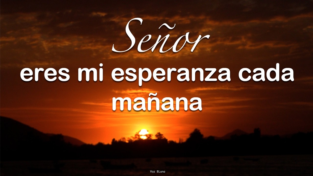 Grande es tu Fidelidad Señor - Reflexión