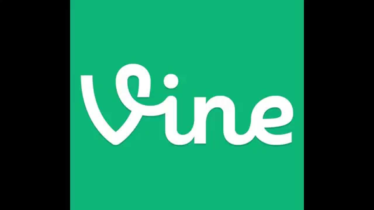 MIS MEJORES VINES