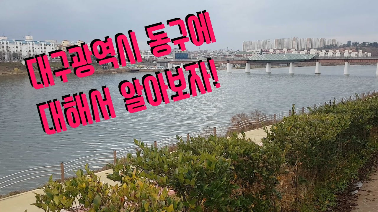 대구광역시 동구에 대해서 알아보자!