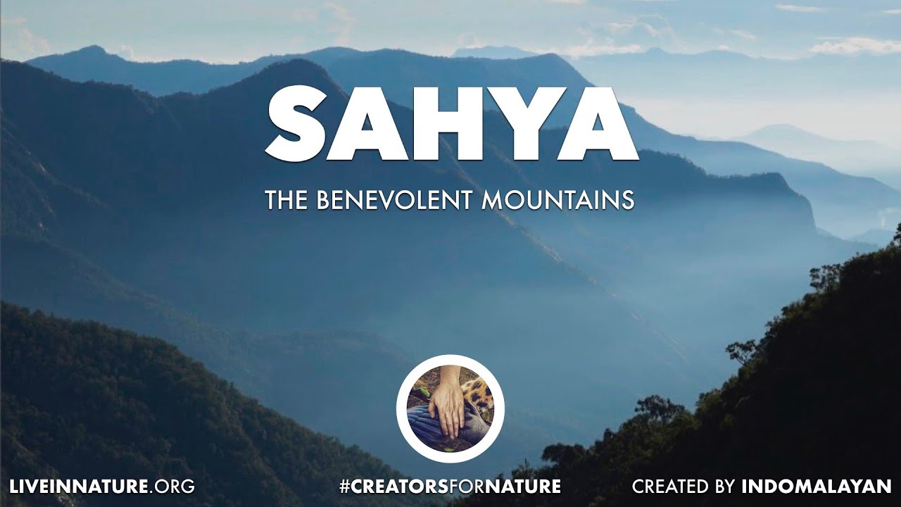 Realms of Nature | Sahya - The Western Ghats | 4K