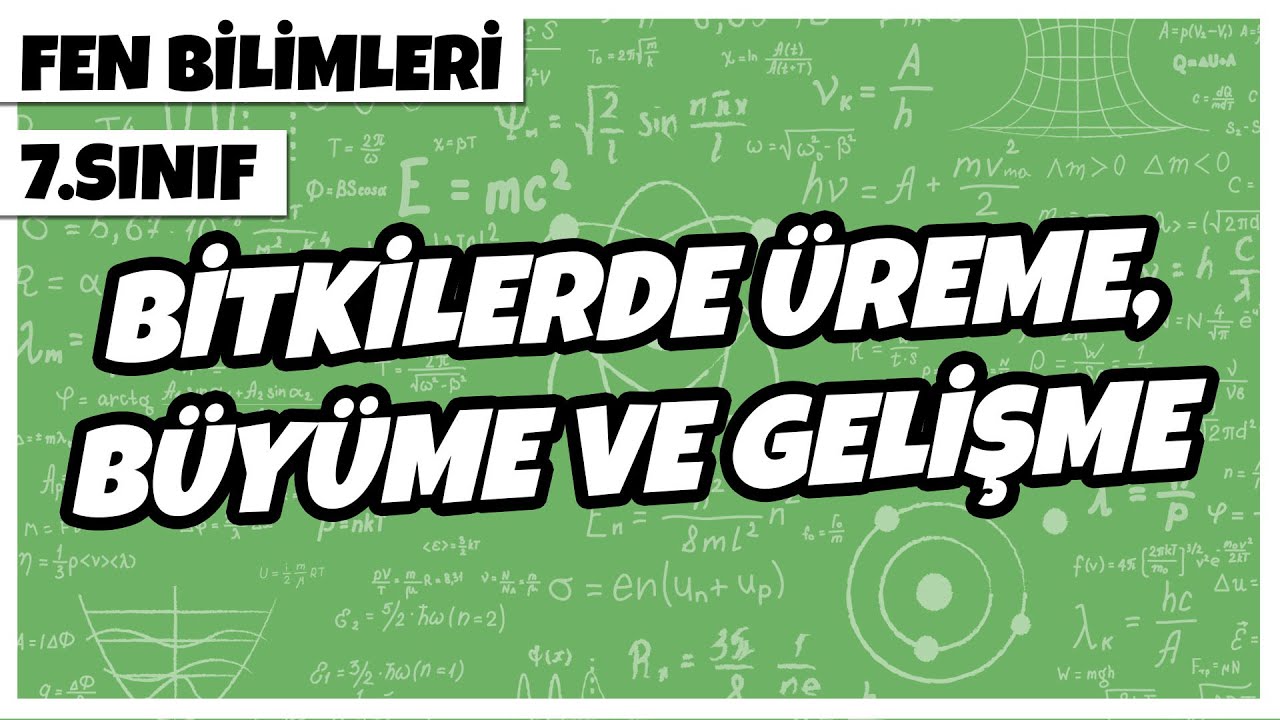 7. Sınıf Fen Bilimleri - Bitkilerde Üreme, Büyüme ve Gelişme | 2022