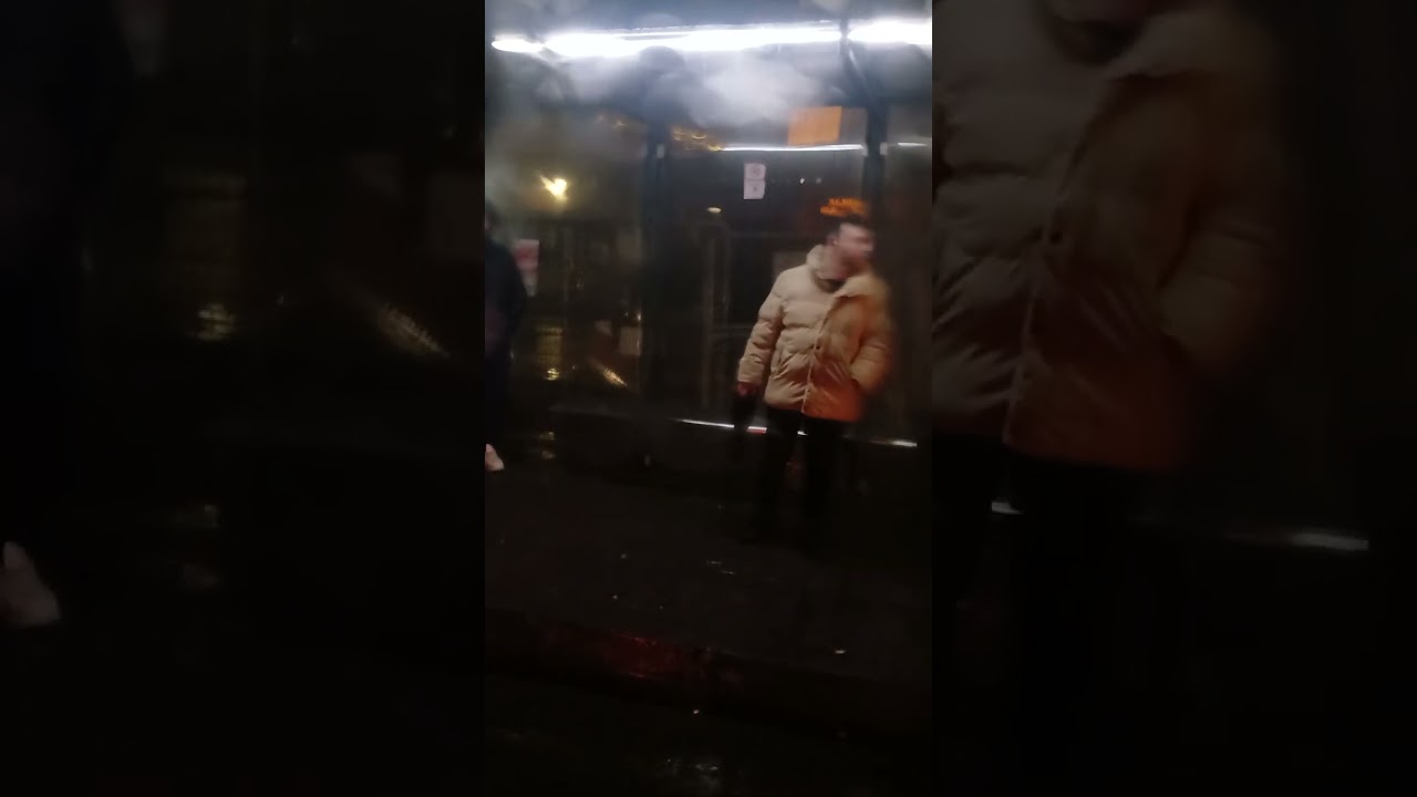 İstanbulda Güleryüz Cobra GD272LF İle Seyahat
