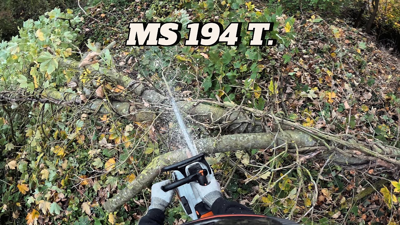 POV  stihl MS 194 T ( bois de chauffage )