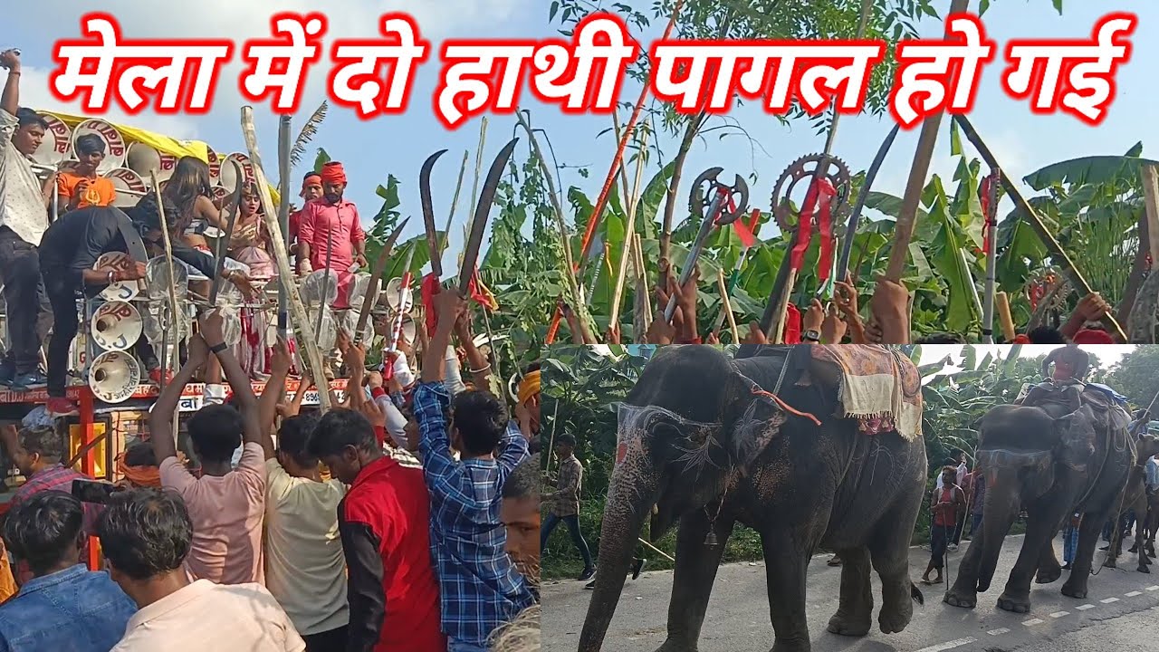 मेला में हाथी 🦣 पागल हो गया |  Mahaviri Mela | Jhanda Mela Maharaj Ganj 2023 mauniya baba #mela