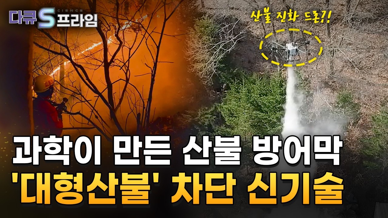 [다큐S프라임] 산불의 진화 - 타오르는 숲의 비밀