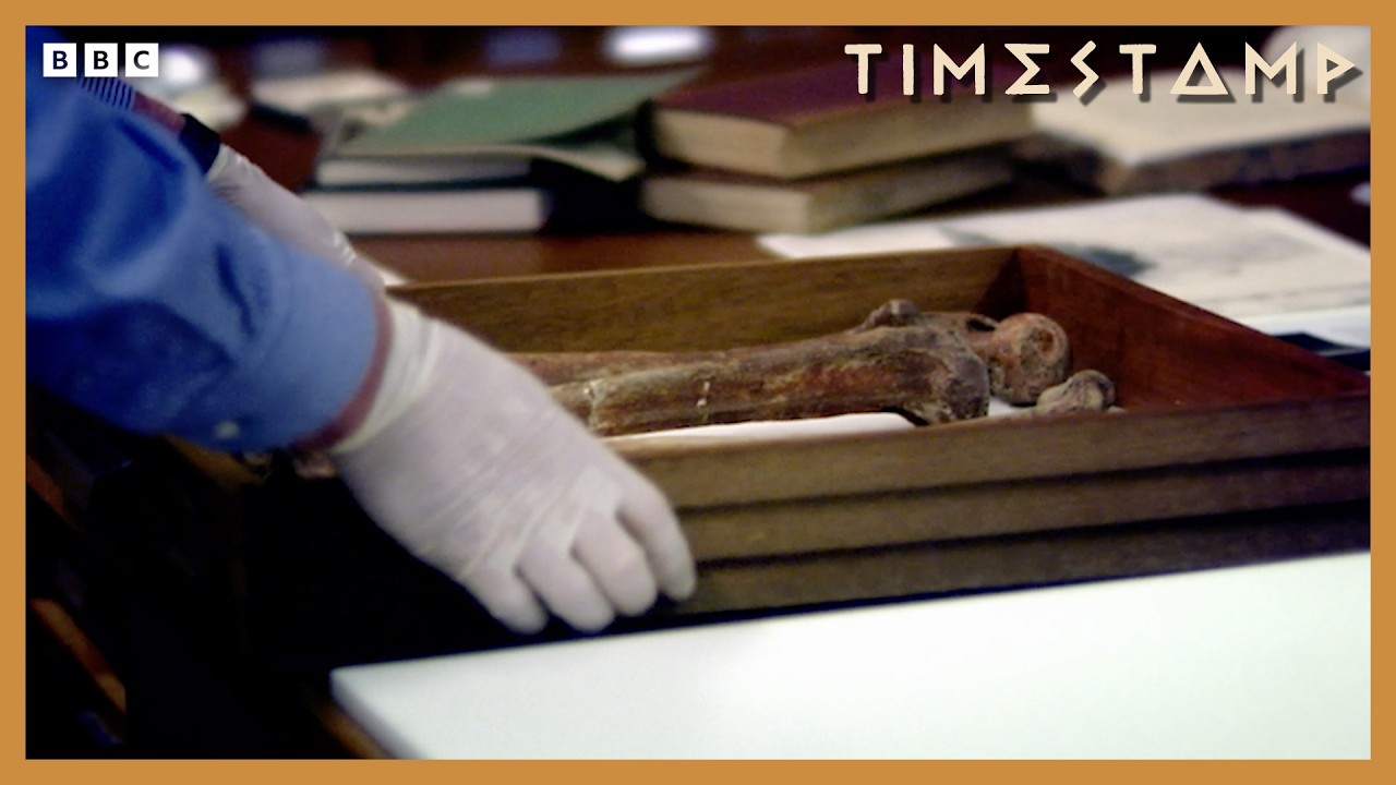 The Hidden Identity of 33,000-Year-Old ‘Red Lady’ Skeleton | BBC Timestamp