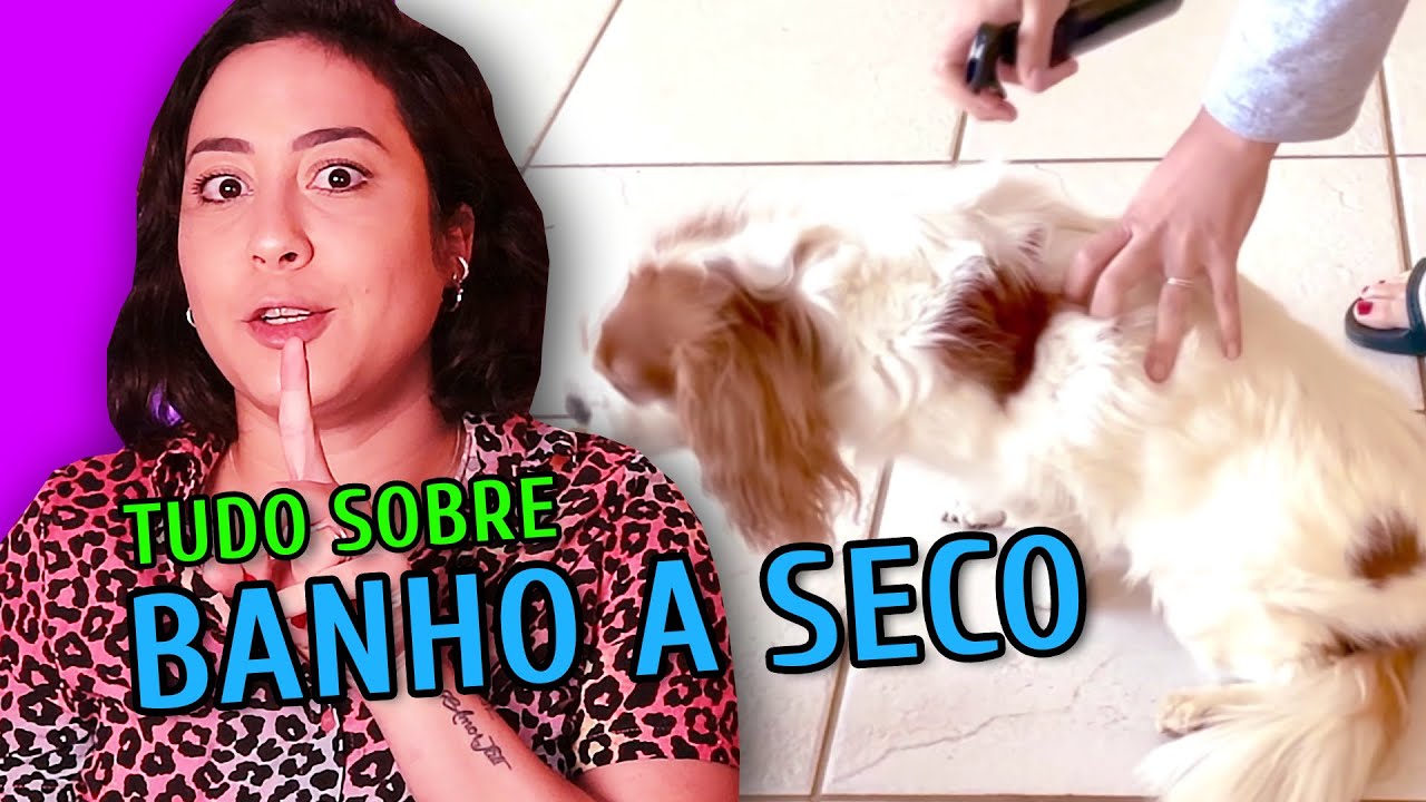 BANHO A SECO: AULA PRÁTICA E TUDO QUE VOCÊ PRECISA SABER