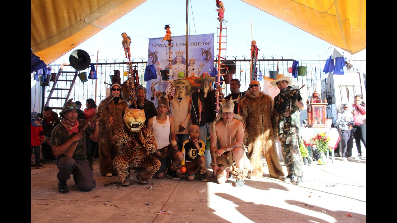 Danza de lobitos | San Lorenzo Huehuetitlán