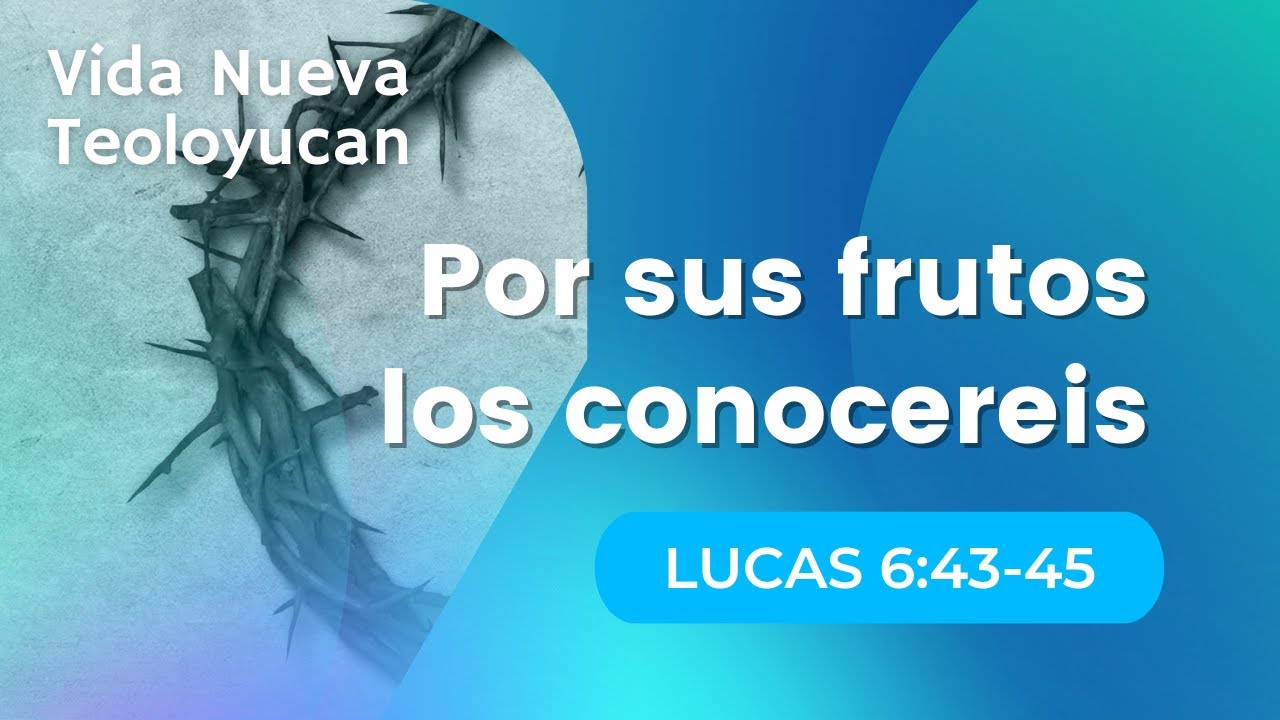 Por sus frutos los conocereis [Lucas 6:43-45]