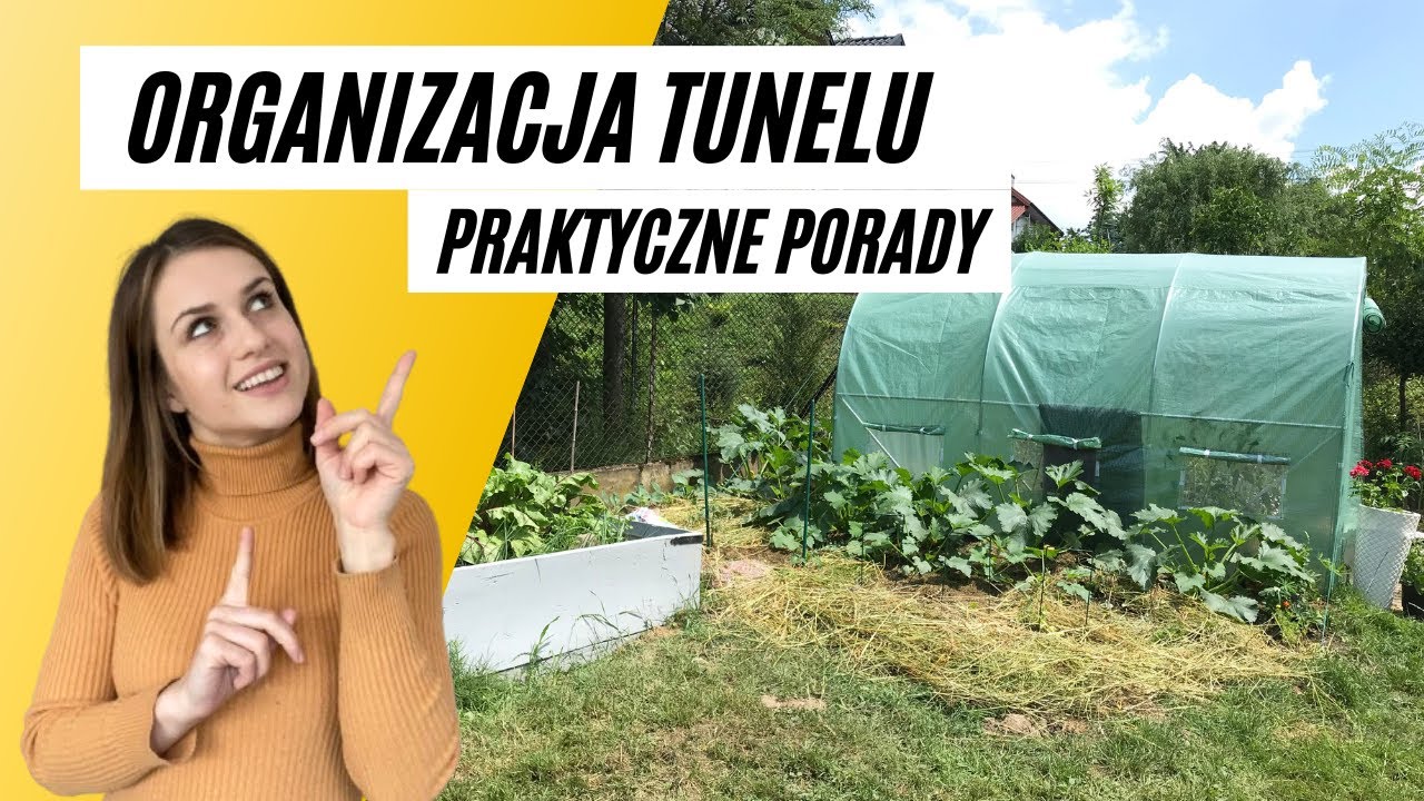 Jak Zorganizować Tunel Foliowy?