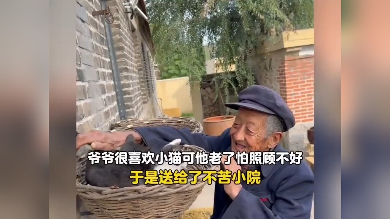 爷爷很喜欢小猫，可他年纪大了怕照顾不好，所以全部送到了小院