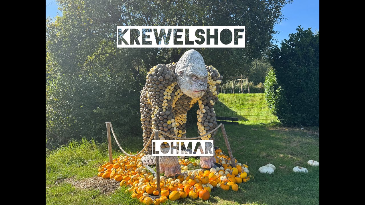 Krewelshof Lohmar  Kürbisschau 2025