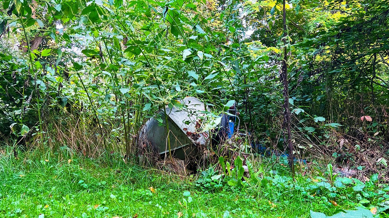 Grandparents HAVEN'T SEEN their OVERGROWN YARD for 10 years, THEY WILL BE STUNNED!