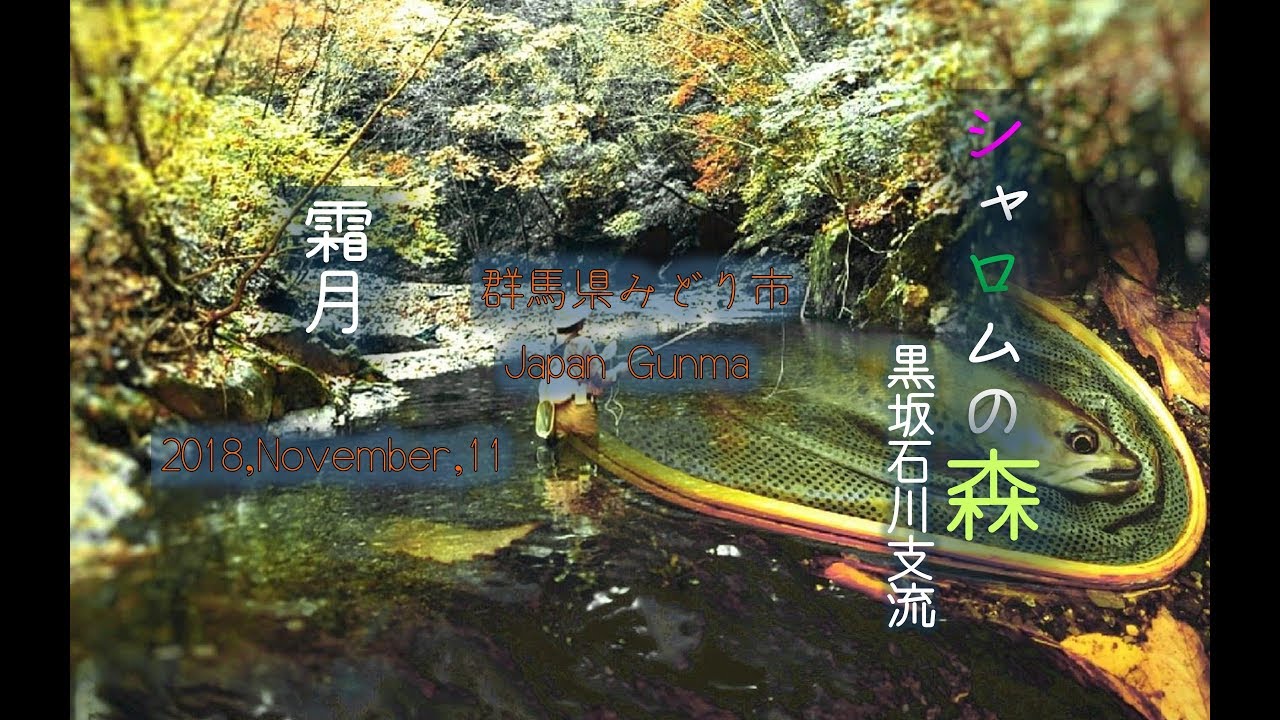 2018,Novenber,11 fly fishing フライフィッシング　シャロムの森